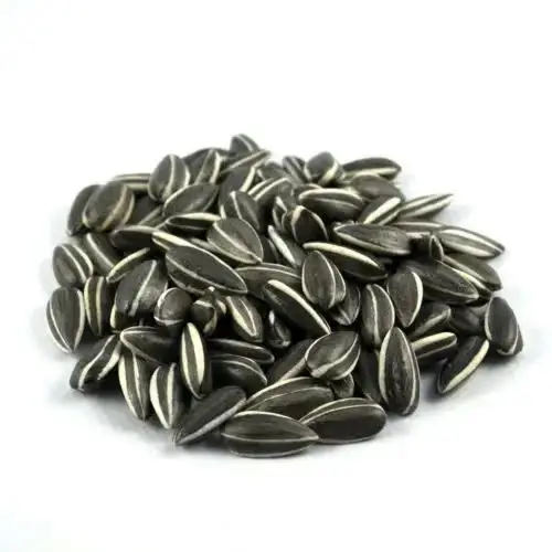 Sun flower Seeds New Crop / Wholesale Chinese sun flower seeds