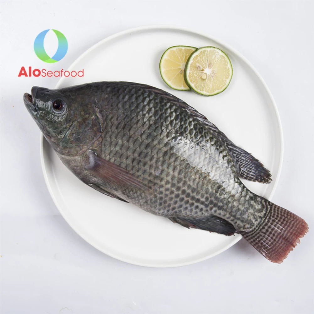 Wholesale Price Vietnam Tilapia Fish Delicious Fresh Frozen Black Tilapia