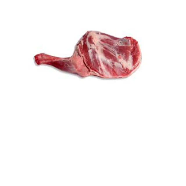 01 (4).png