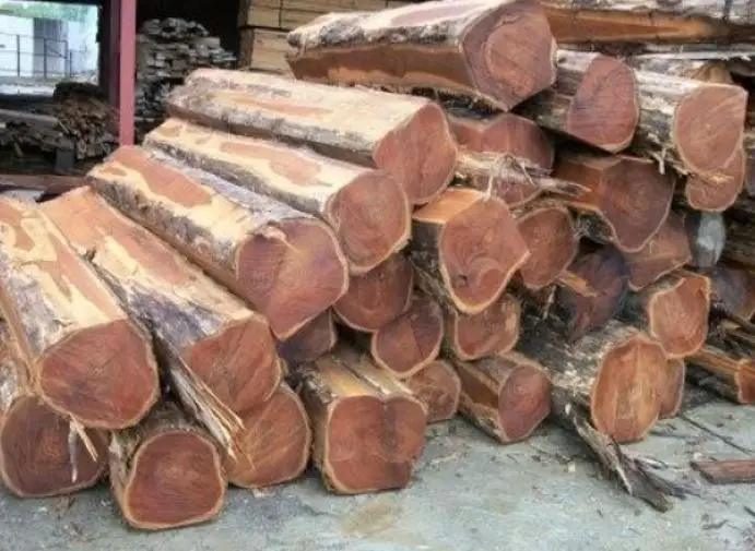 White Bilinga Wood Round Logs For Sale| Timber wood for sale