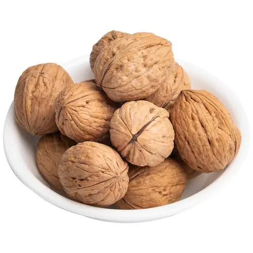 Best Grade Walnuts In shell medium sized/ Best quality wholesale prices walnuts for sale in bulk