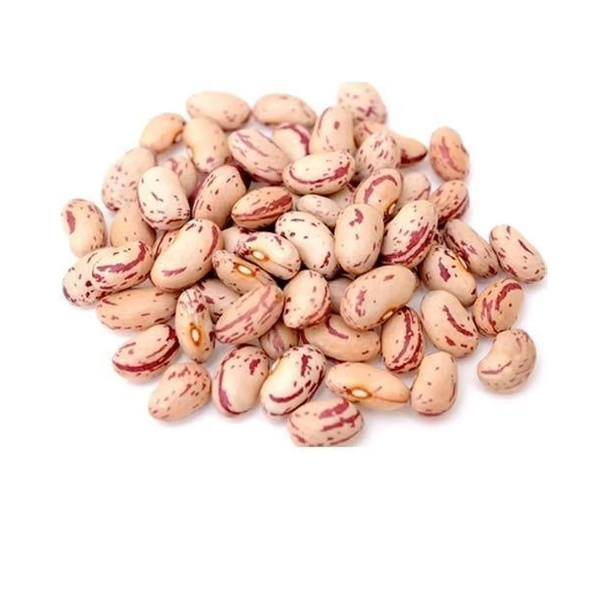 Купить высококачественную фасоль Rajma Chitra/Chitra свежее качество и органически сделано для продажи