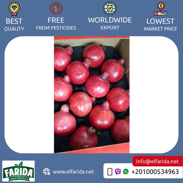 Premium Quality Hot Selling 100% Natural Sweet and Delicious Taste Red Fresh Fruit Pomegranate from Egypt at Low Price