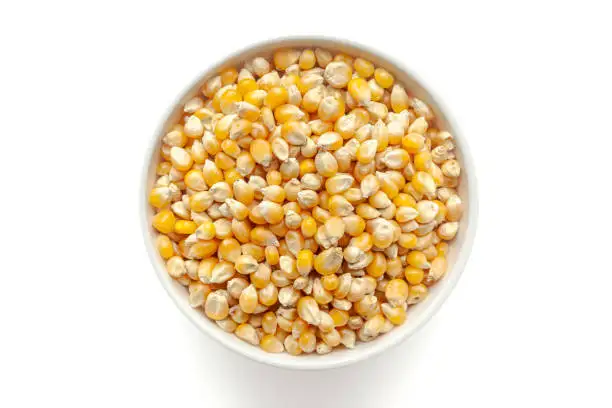 Super quality Yellow corn for animal feed available for export