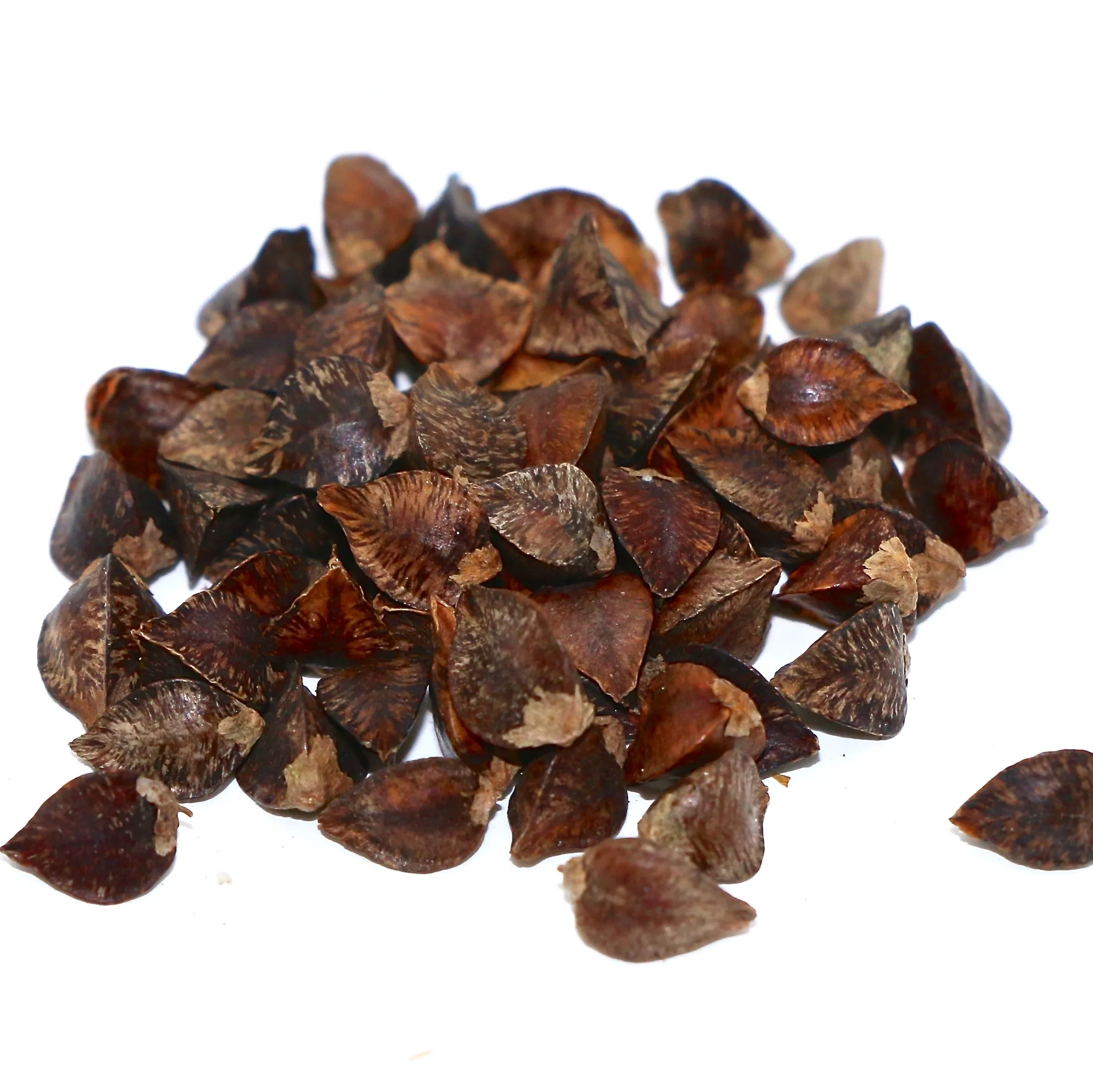 Best Factory Price Of Roasted Buckwheat Available In Bulk Stock With Custom Packing