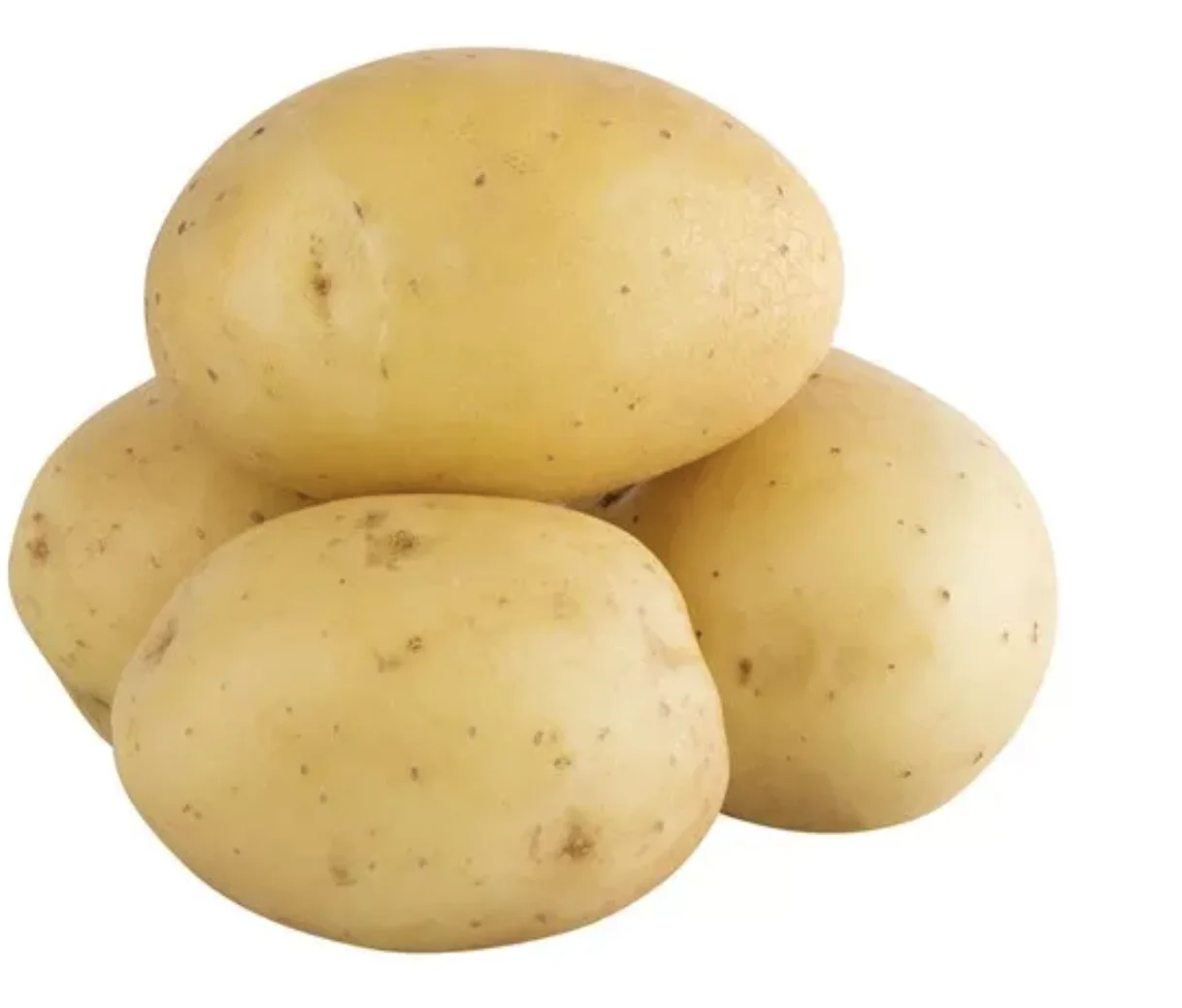 Organic Fresh Potatoes 100% High Quality Export Oriented Low Price For Wholesale Price Fresh Potato Holland From Bangladesh