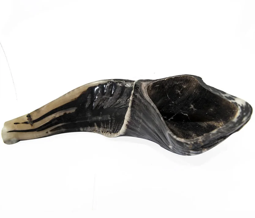 Half Polished Natural Kosher Jewish Shofar Ram Horn Made In INDIA 10.5'