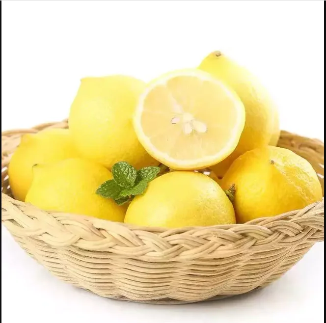 100% Natural Best Wholesale Price high quality Fresh Lemons from Vie