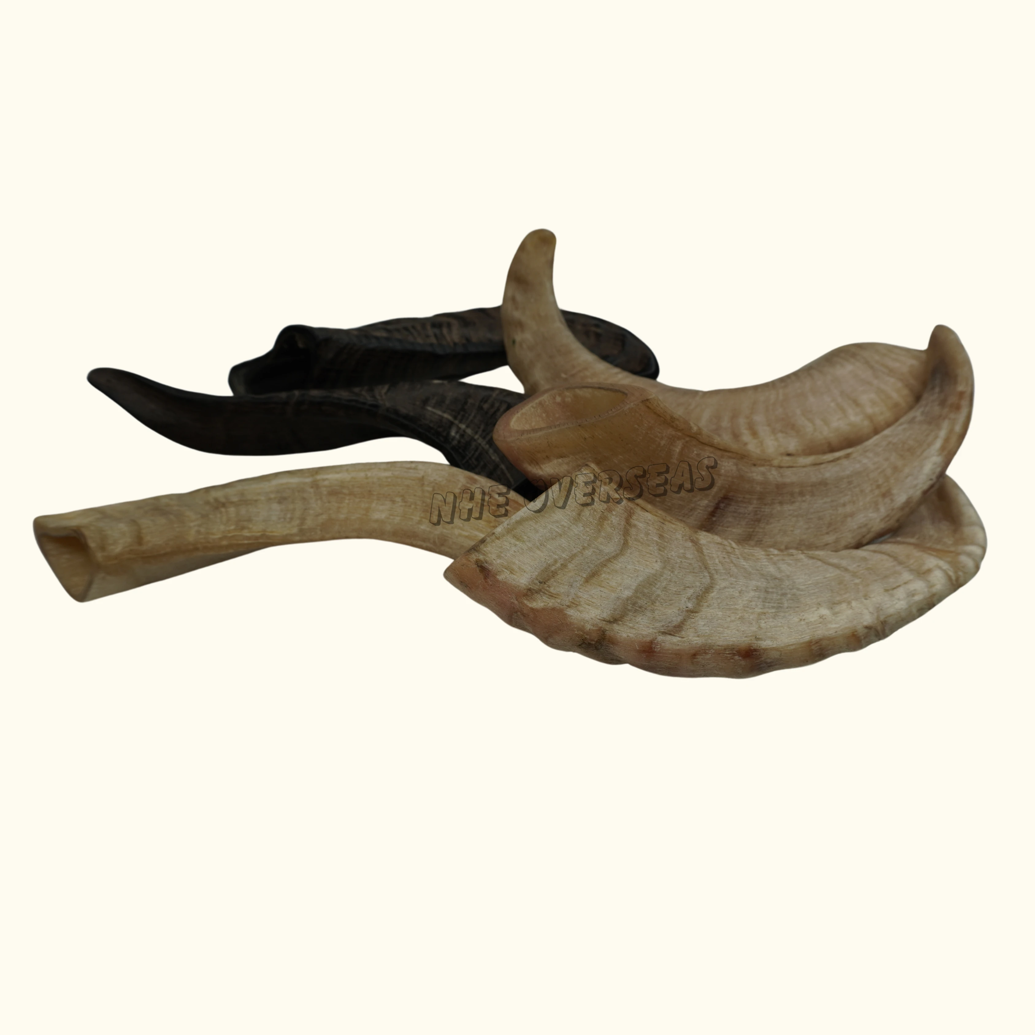 Top Selling Real Sheep Horn Real Best Quality With Polished Hand Made Top Selling India Handicraft By Nhe Overseas