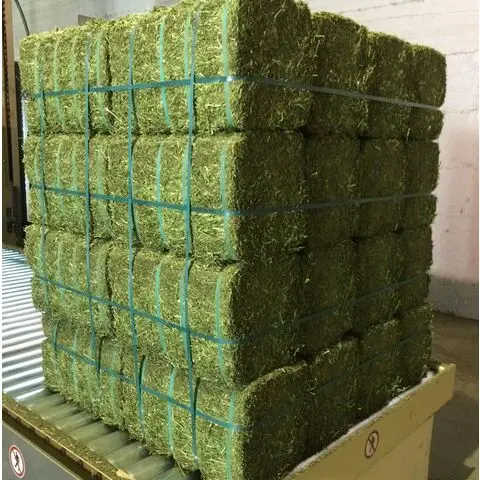 Alfalfa-hay (3).jpg