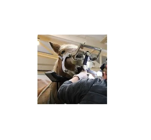 Precision Stainless Steel Hand Crafted Equine Premolar Extraction Forceps with Fulcrum for Equine Dental Oral Surgery