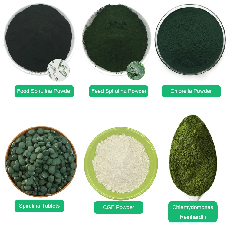 Pincredit OEM Private Label Spirulina 100% Pure Bulk Organic Powder for Sale