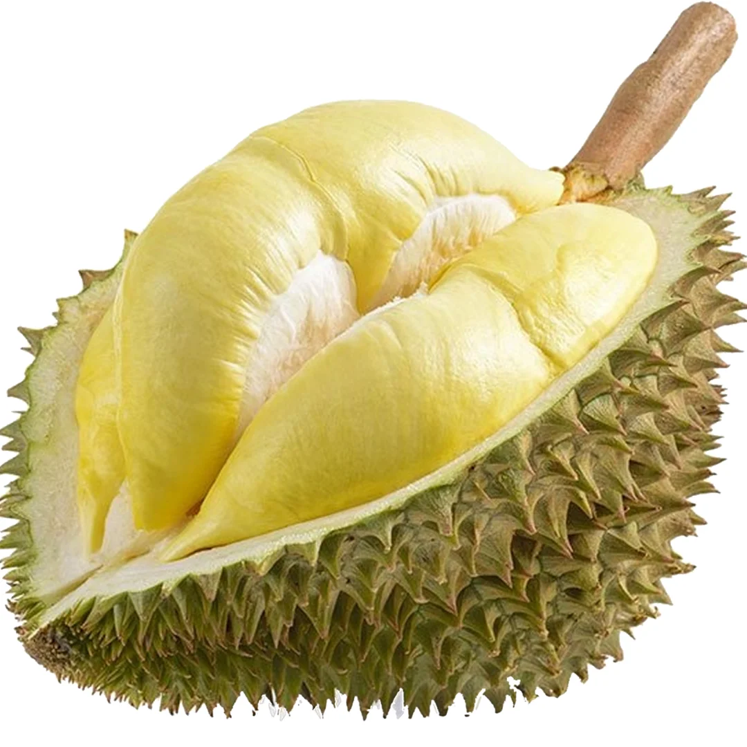 Best Fresh Durian VIETNAM FRESH DURIAN BEST PRICE 100% HIGH QUALITY Yellow Tropical Sweet Durian
