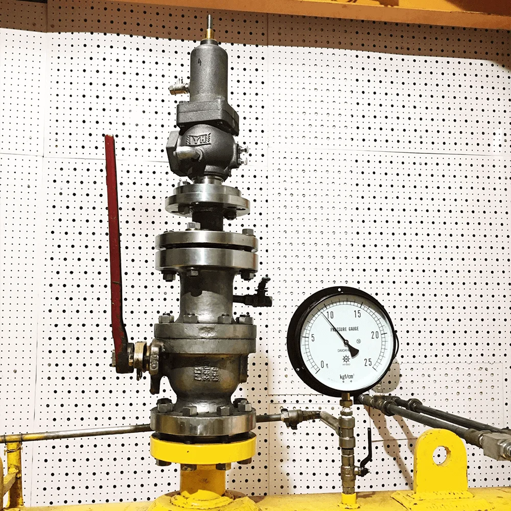 Pressure Relief Valve 2 inch