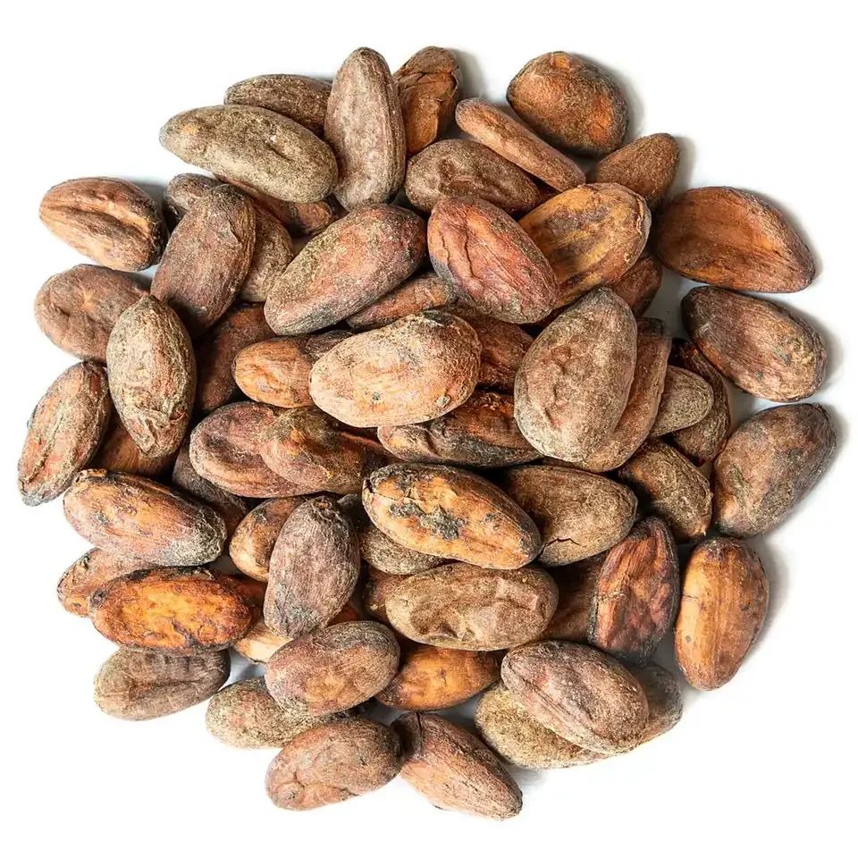 Hot selling Dried Raw Cacao Fermented Cocoa Beans Cocoa Beans Ariba Cacao beans for sale