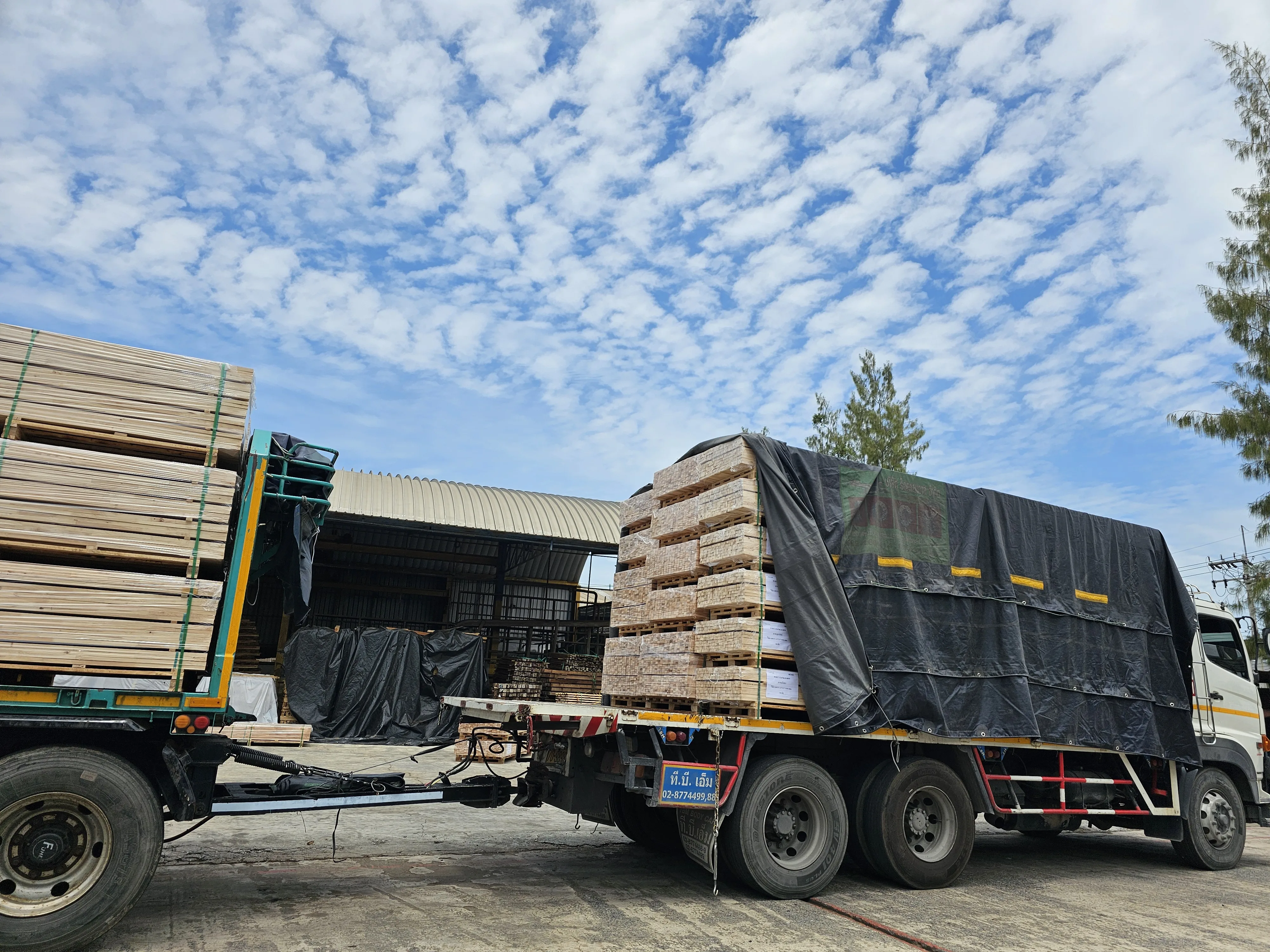 Best Selling Pine Wood Furniture Board High Quality Japanese Pine Block Solid Core Structure Cherry Surface Poplar/Birch