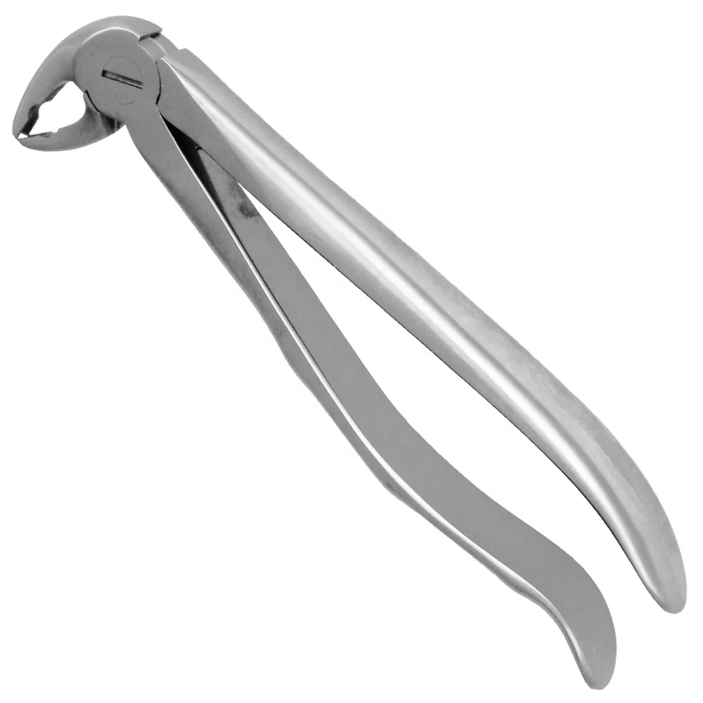 Hot Selling 1 Premium Export Quality Dental Instruments Adult Tooth Extracting Forceps Tooth Extracting Forceps