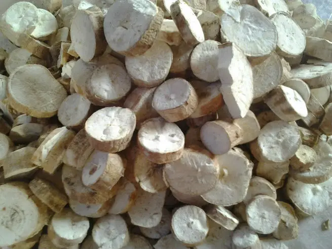 Bes Product 2023  - Tapioca Chip -Feeding Animal Cassava Chips -  Cassava Chip export worldwide