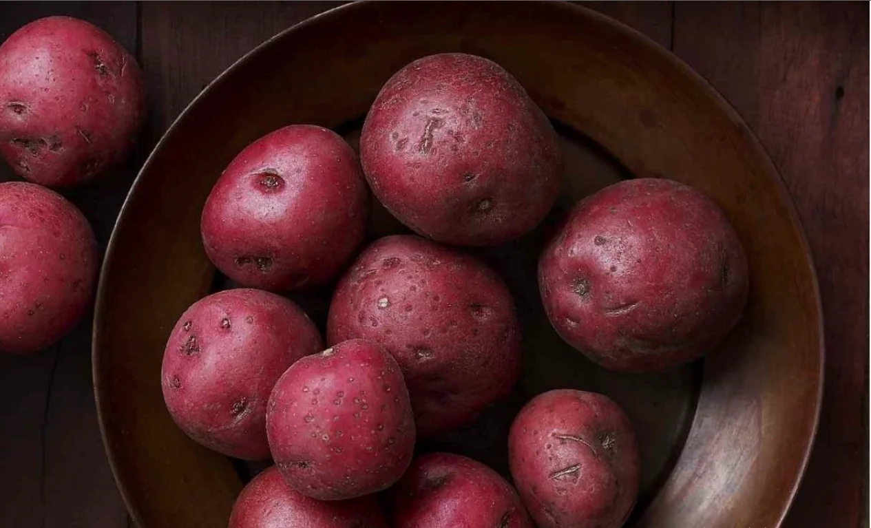 export potato 2022 new fresh Potato fresh with high quality new crop per ton good price for wholesale fresh potato professional