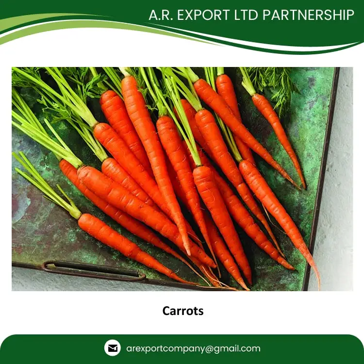 Genuine Quality Wholesale Selling Common Cultivation Type 100% Natural & Fresh Red Carrots at Low Market Price
