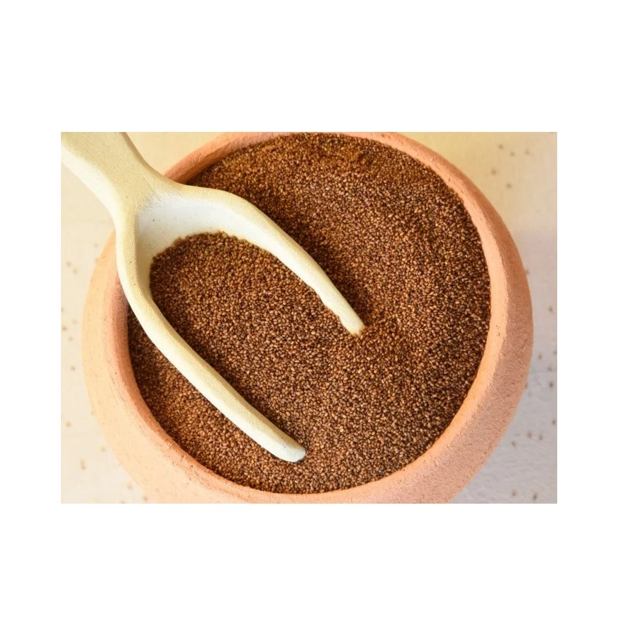 Gluten free Brown Teff grains / Bulk TEFF GRAIN