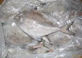 Frozen Black Pomfret/Vietnam Pomfret Fish