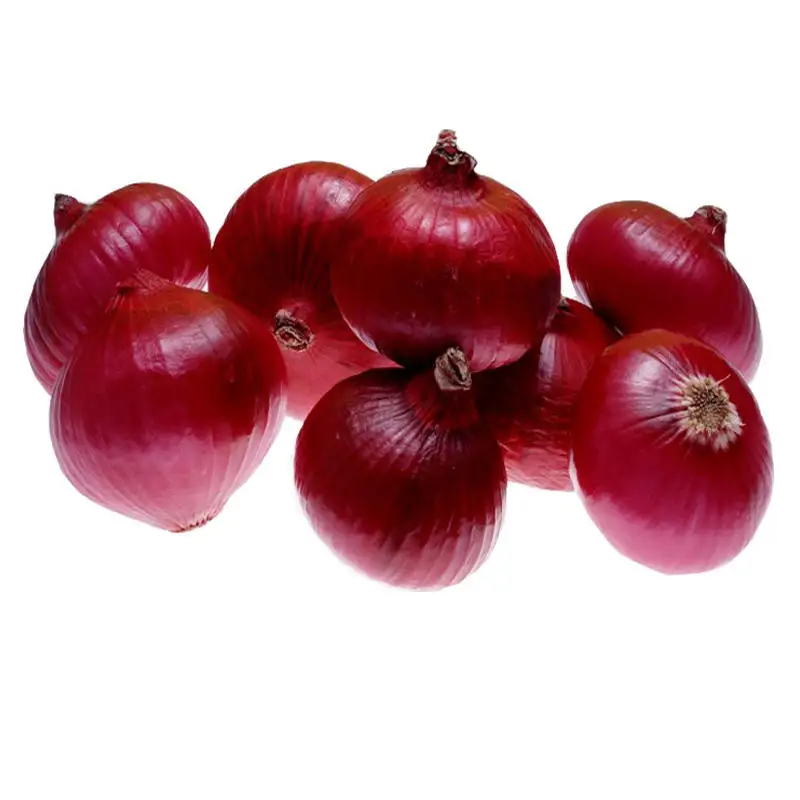 Wholesale Fresh oignons Shallot Peeled Onion Red Yellow White Organic Onion