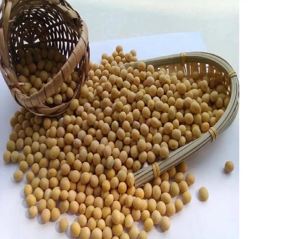 Распродажа по оптовой цене новый урожай GMO и Non соевые