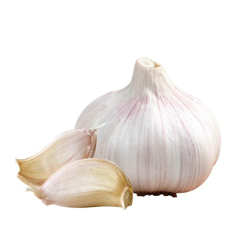 Pure White Fresh Garlic Cheap Price Snow White Garlic China Origin Super White Garlic Bulk Wholesale for Export