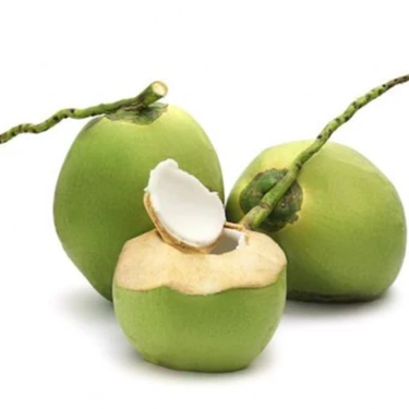 High Quality Vietnamese Fresh Coconut 100% Natural The Best Price In The Market