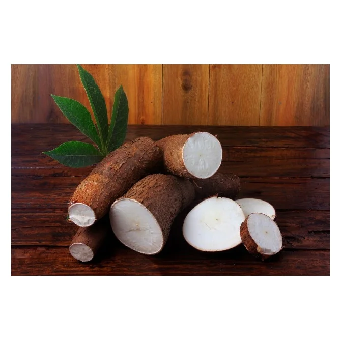 Online Buy / Order Top Quality Vegetable Fresh Costa Rica Cassava Roots With Best Quality Best Price Exports From Germany