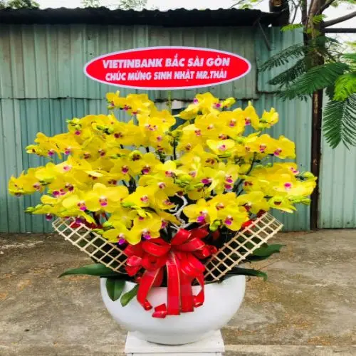 Professional Team Export Wedding Fresh Flower Carton outside Phalaenopsis orchid natural Professional Team Export Wedding Fresh
