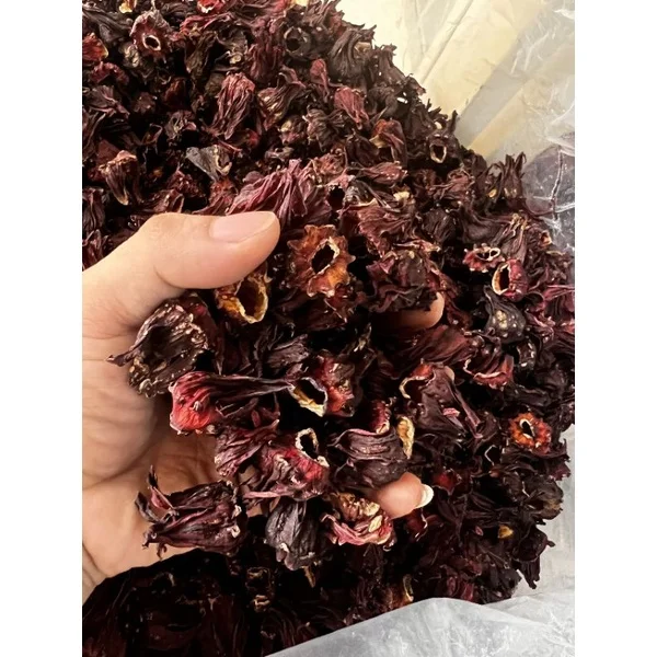 Vietnam new season dried hibiscus with low price reasonable price for hibiscus flower