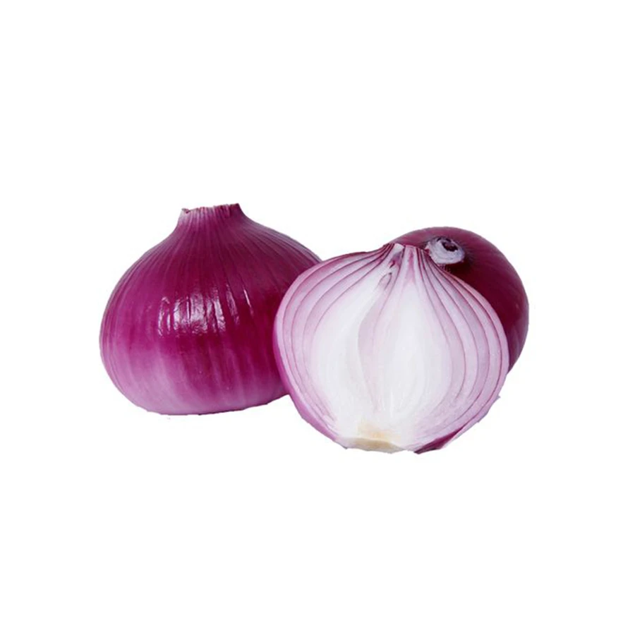 FRESH ONION suppliers, manufacturers, exporters, traders of Fresh Onion for buying in India