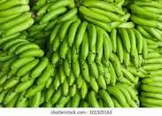 Fresh Green Banana