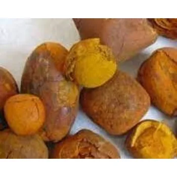 QUALITY GALLSTONE WHOLESALE IN BULK FOR SALE