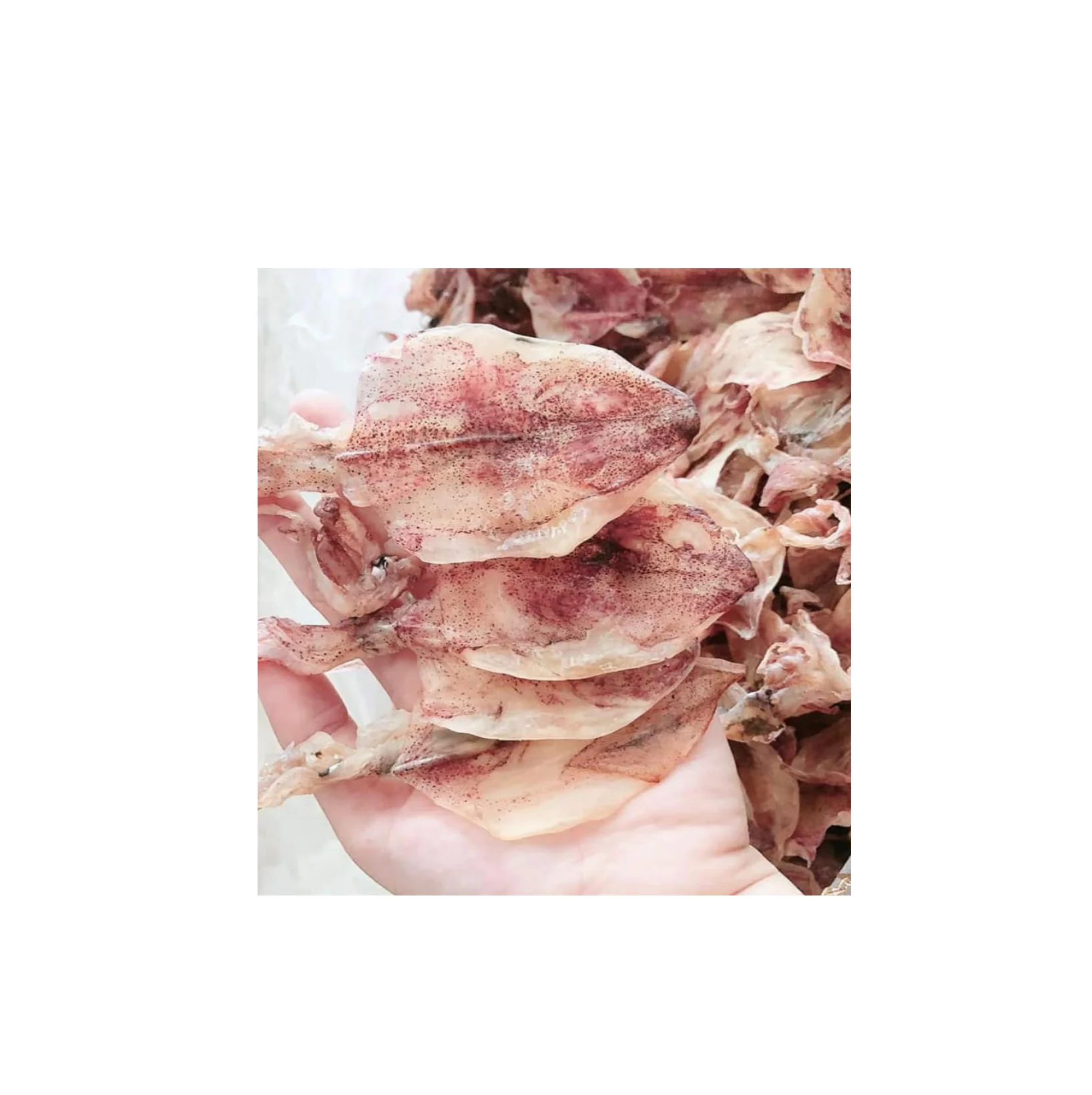 frozen seafood dried squid frozen whole round squid 10kg packing in carton skin on whole export dried squid