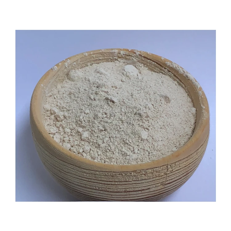 Wholesale Selling 100% Natural Diatomaceous Earth Powder for Anti-Caking Agent from India Origin Supplier