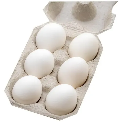 Chicken eggs in bulk price from Germany