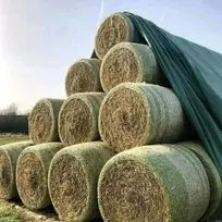 High Quality Alfalfa Hay for Sale for Animals Cattle Sheep and Horses Comes in Bales or Bags Variety in Palm