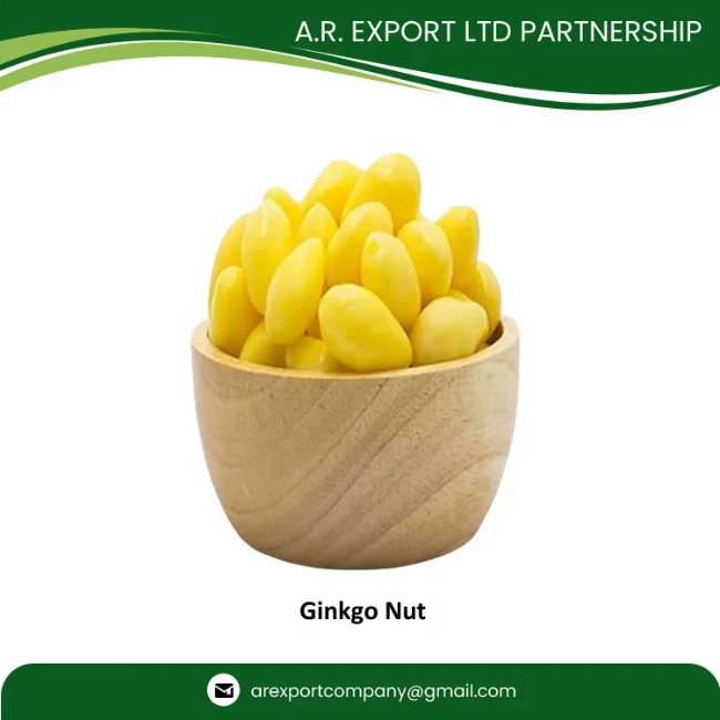 Best Grade Quality Ginkgo Nuts in Thailand from Premium Ginkgo Nuts Exporter