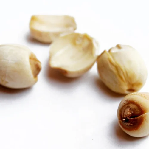 Big Sale Lutus Seeds Limited Time Offer on Quality Seeds for Your Garden Shop Today for Discounts