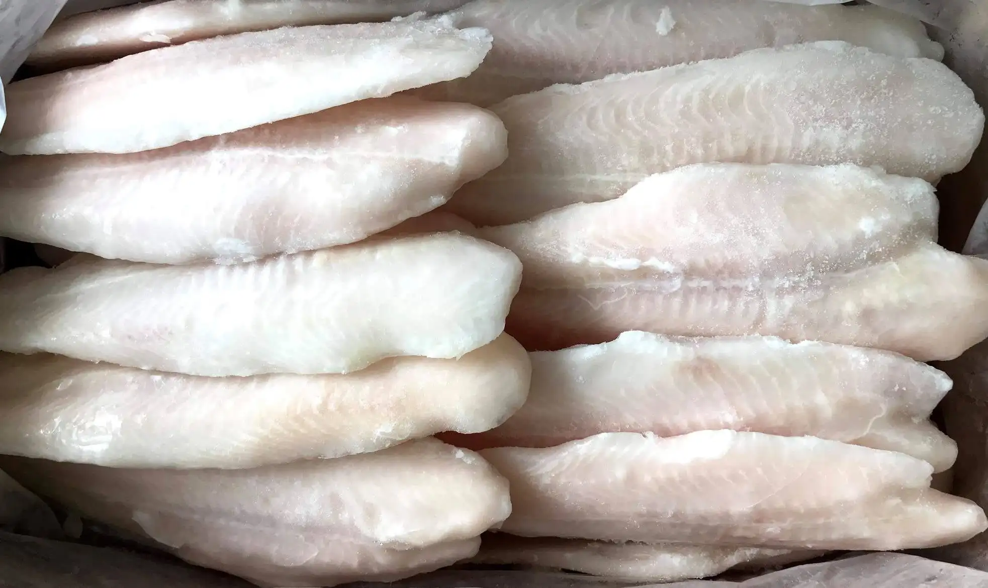 Frozen Pangasius/ Basa fish Fillet high quality 10 kgs with 87% max Max Moisture well trimmed meat