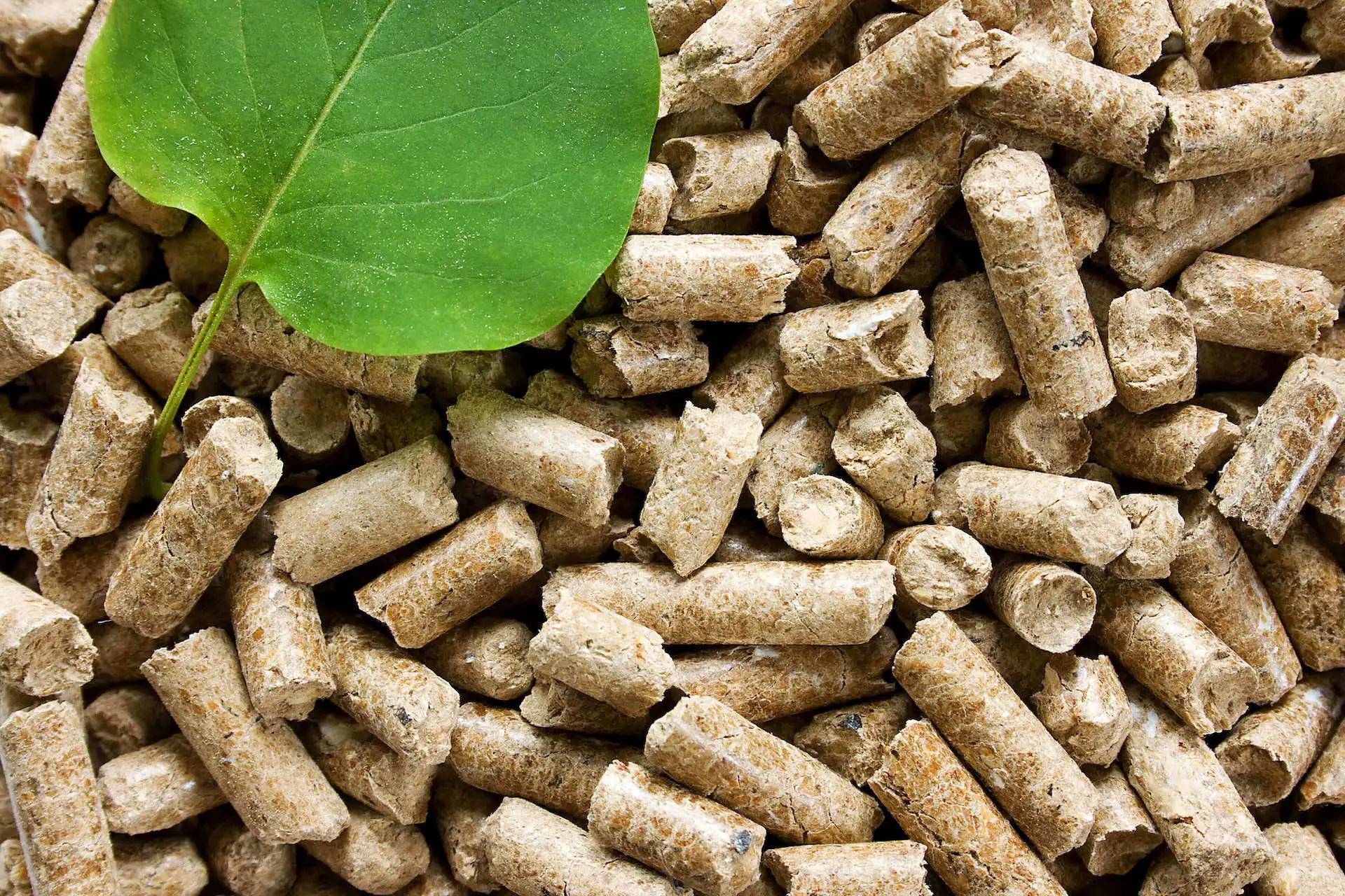 High Quality Biomass Burners Wood Pellet Wholesale Wood Pellets Natural Pine Wood