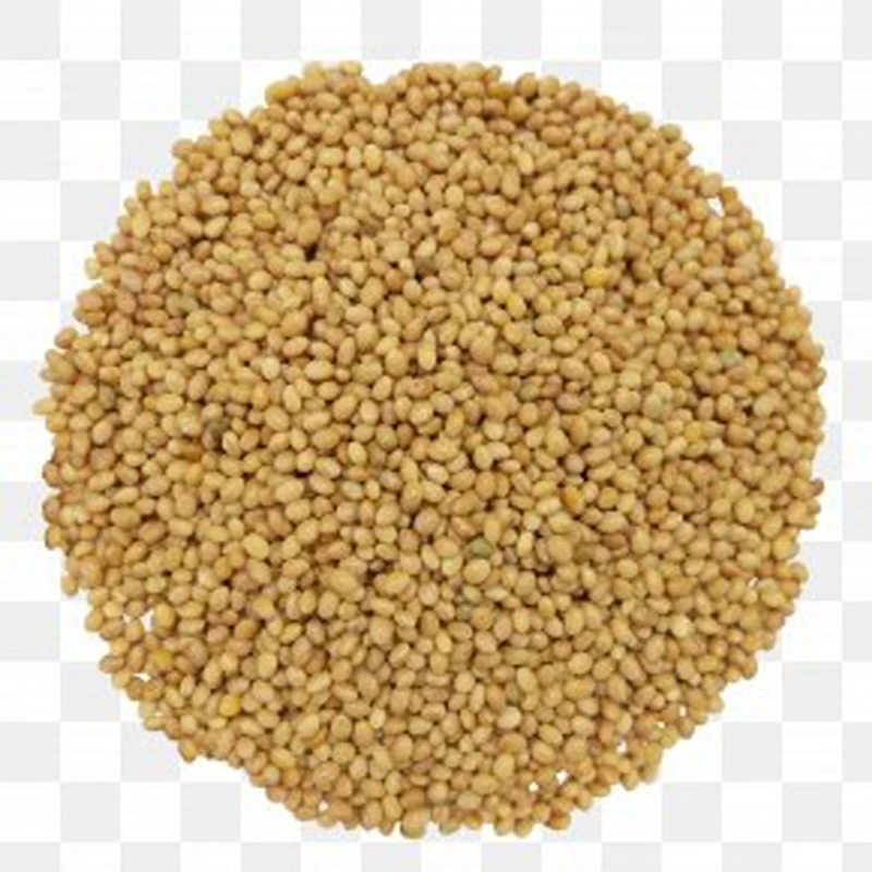 Excellent Premium Grade Teff Grains / Teff Flour