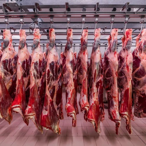 HIGH QUALITY HALAL FRESH CHILLED GOAT MUTTON MEAT/ LAMB MEAT