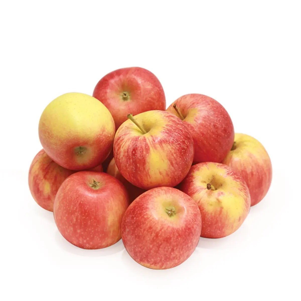 factory price Fresh Apples Red Fuji Green Golden delicious Apples, Royal Gala Apples, Granny Smith Fresh Apples Price
