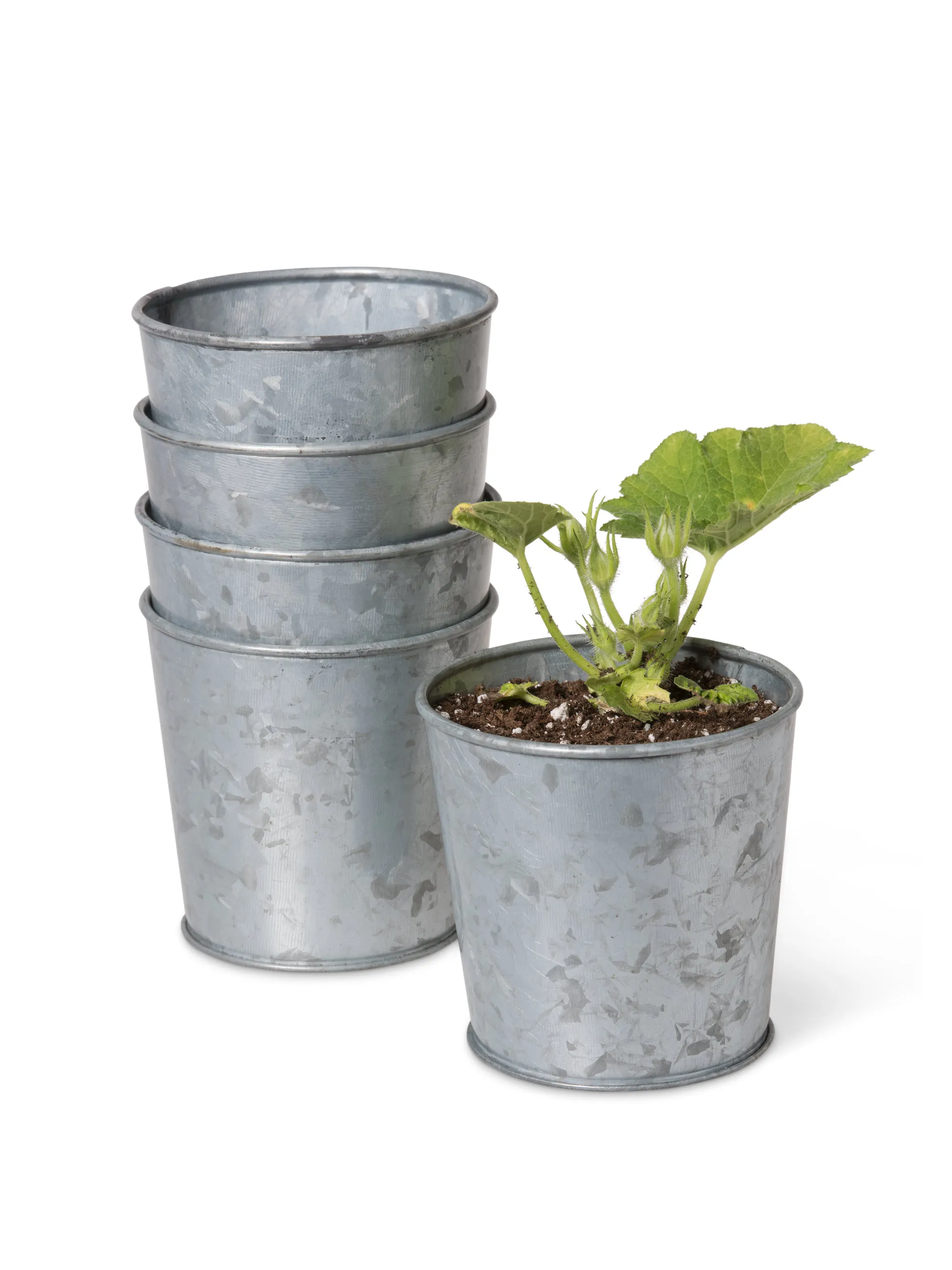 Lowest Price Buy Standard Design Oval Planter Metal Pot And Basket Best For Home Decor Galvanized Finishing Without Handle