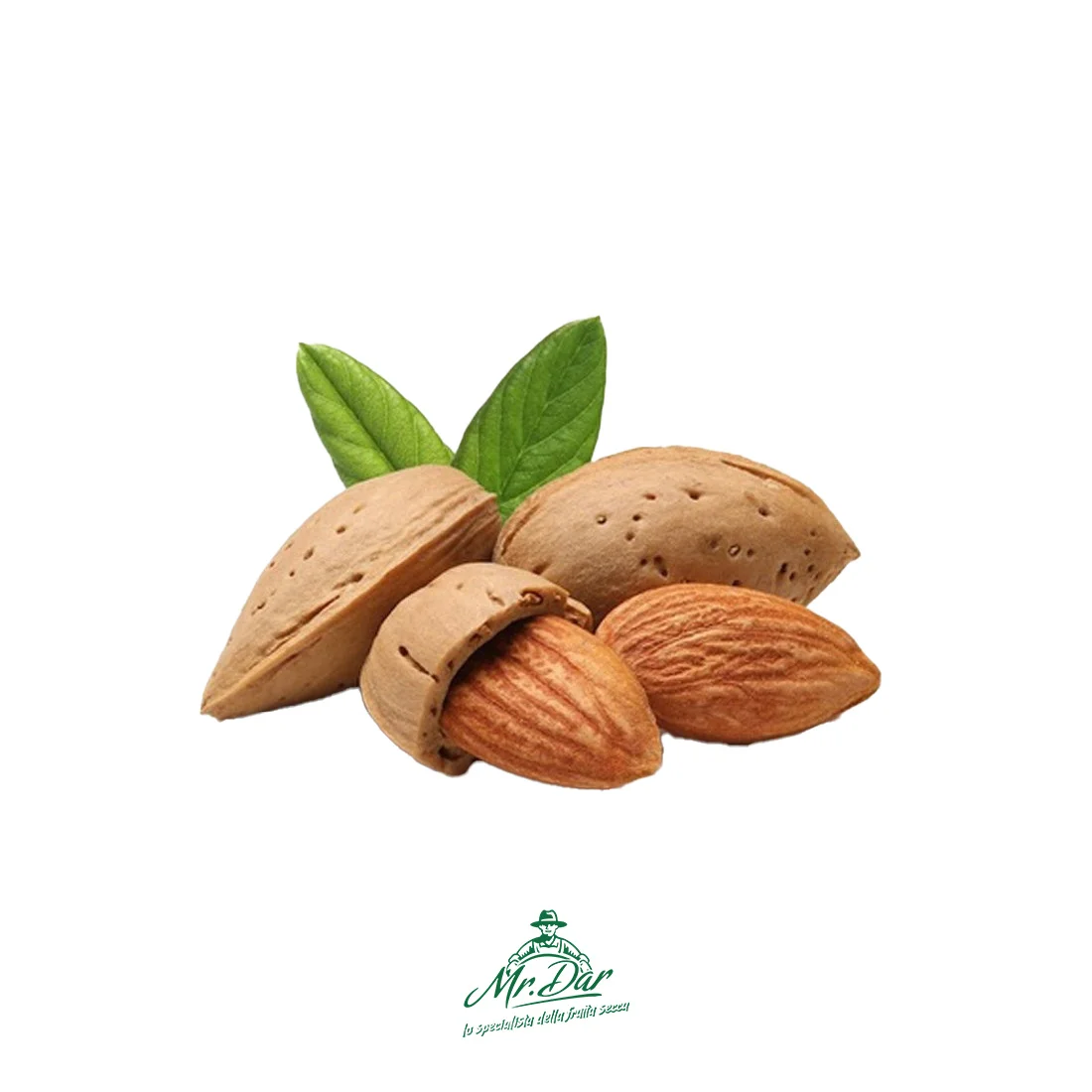 Italian-Style Almond Kernels High Quality Natural Hazelnuts Blanched Dried 5kg Vacuum Packed Ready for Wholesale for Food Use