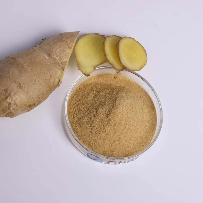 Wholseal Spinach juice powder organic green spinach powder